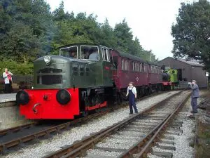 Read more about the article Fowler No.4220033 ‘Harry’